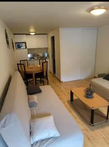 Charmant studio à St Martin Vésubie au calme - 拉科尔米亚讷