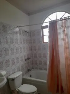 Sweetsop Jamaica - Falmouth