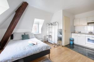 Appartements Exceptionnels Studio, Maison de Maitre, Parking Gratuit sur Place, MULHOUSE CENTRE : photos des chambres
