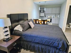New Modern Studio in Maryville -105