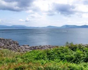 Dolphin View Lambs Head - Gortnaknilly