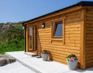 Dolphin View Lambs Head