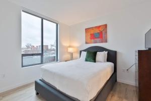 Apt Downtown with Kitchen and Gym