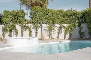 Meiselman Mid Mod Pool and Spa in Sunrise Park