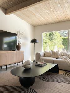 Meiselman Mid Mod Pool and Spa in Sunrise Park