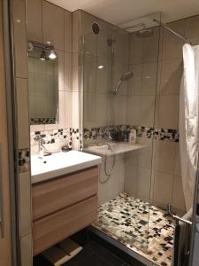 Appartements Nice apartment in Saint Germain En Laye : photos des chambres