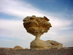 Bahariya Oasis
