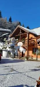 Casa Reginei - Cârţişoara