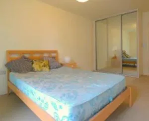 The forty - 锡德卡普