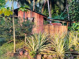 El Retoño del Negro Gozón