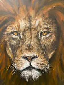 Panoramas Above Arusha - 阿鲁沙