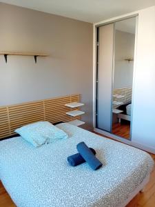 Appartements Grand Appartement avec Garage : photos des chambres