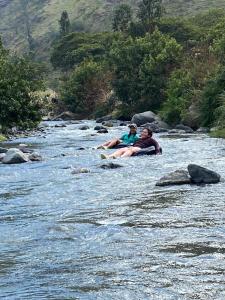 The Frailejon Mountain