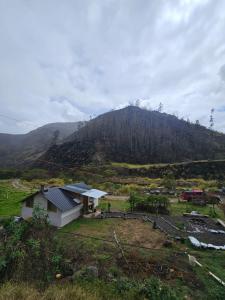 The Frailejon Mountain