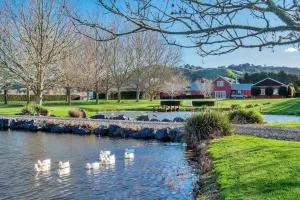 Nirvana Farm, Clevedon - 帕帕库拉