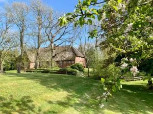 NordseeEstate Comfortable holiday residence - Katharinenheerd