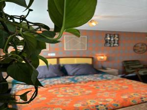 Barn Stay with Soul in Noordgouwe