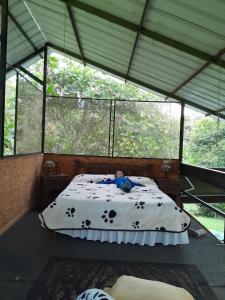 Glasshouse with river