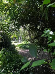 Casa Balcón del Golf