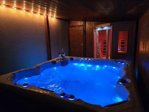 Vila MAX - WHIRLPOOL & BAZÉN & SAUNA