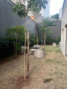 Studio Pinheiros- shopping eldorado