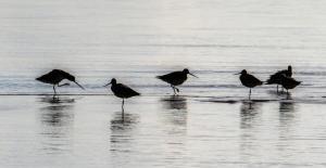 4 Bedroom Beach Home with Water Views