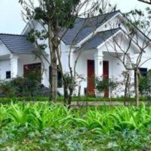 Rose Villa Thai Nguyen - Venuestay