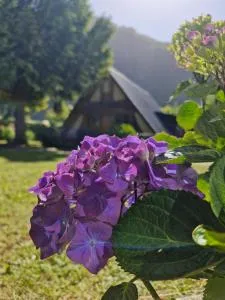 El rincon del lago - 富特罗诺