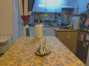 Appartement central de musicien