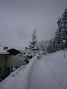 Apartment Haus Starfach