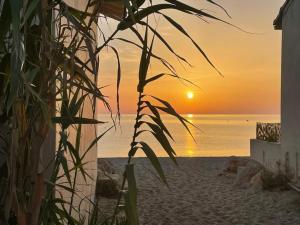 Appartement climatisé avec parking à 450m des plages - FR-1-776-76