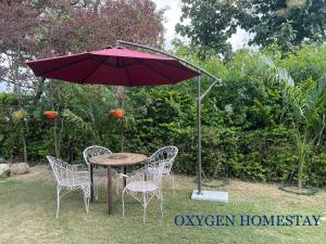 Oxygen Homestay-A Blissful Retreat