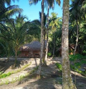 sunsetlodge Mentawai