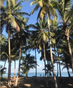 sunsetlodge Mentawai