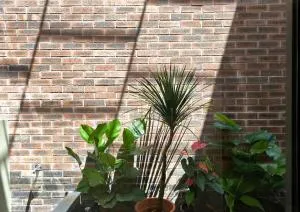 Brickyard at 6 - Kampong Simee