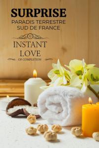 Appartements Paradis terrestre sud de la France, avec sa piscine bali privee, clim, jardin, animaux admis,5 mn autoroute : photos des chambres