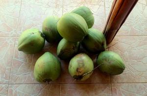 Michaels Native Homestay