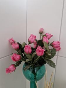 Ruhiges und großzügiges Appartement