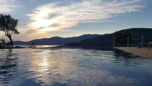 Del Mar 18 guests - Villa - Beach Front