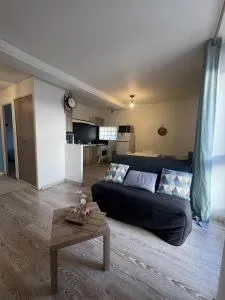Appartement Entier 38m2 T2 Hyper Centre de DAX - Yzosse