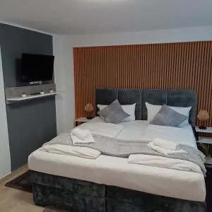 Hotel Ari - Waldmohr