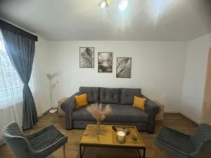 The Future Residence - Coşeni