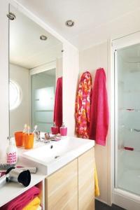 Campings Domaine Residentiel de Plein Air Le Bois d-Amour : Standard Mobile Home (4 Adults)