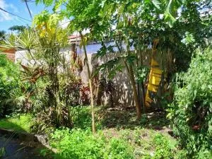 Maison 2 Chambres à Le Carbet – 60 m² avec Terrasse - 勒卡尔贝