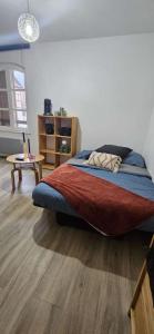 Studio rénové en plein centre ville