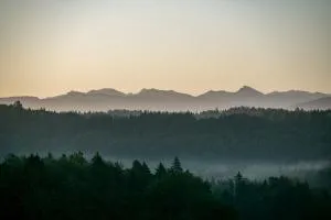 Bio-Landhotel Moarwirt - 格罗斯哈特彭宁