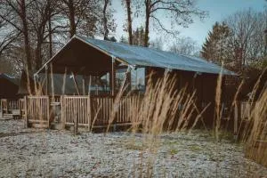 Glamping De Boshoek - Kootwijkerbroek