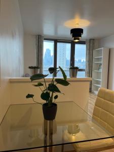 Amazing & Homely & Quiet 1 Bd Apt London