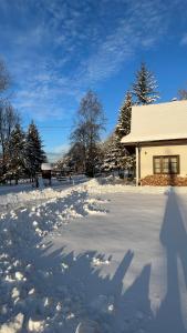 Bórówka