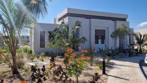 Beachfront Bliss Hawana
